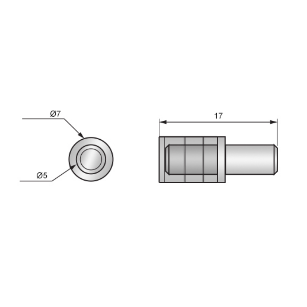 Perno per mensole con rivestimento in plastica Ø5mm (100 pz)
